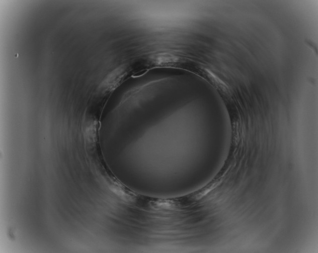 X0000096380475200801311303