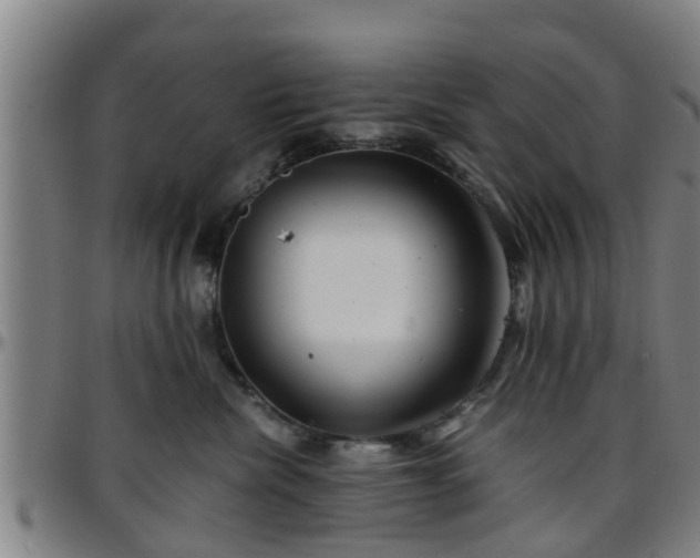 X0000096380476200801311303