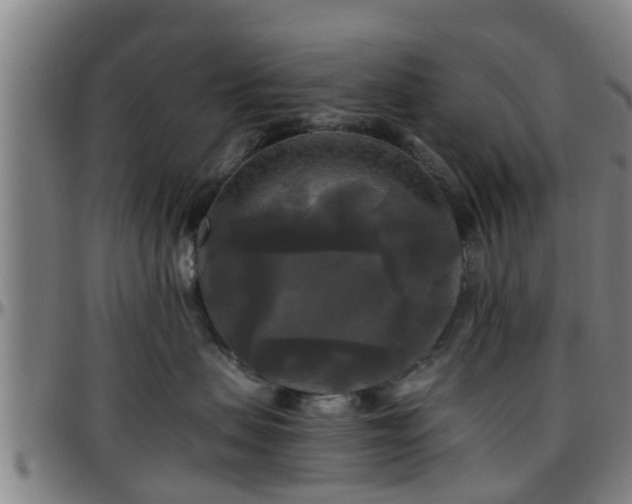X0000096380479200801311303