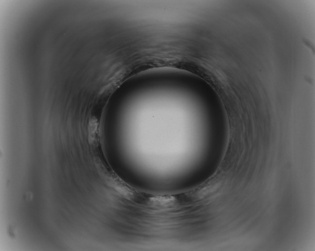 X0000096380480200801311303