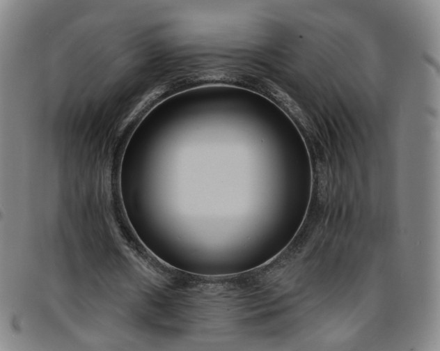 X0000096380482200801311302