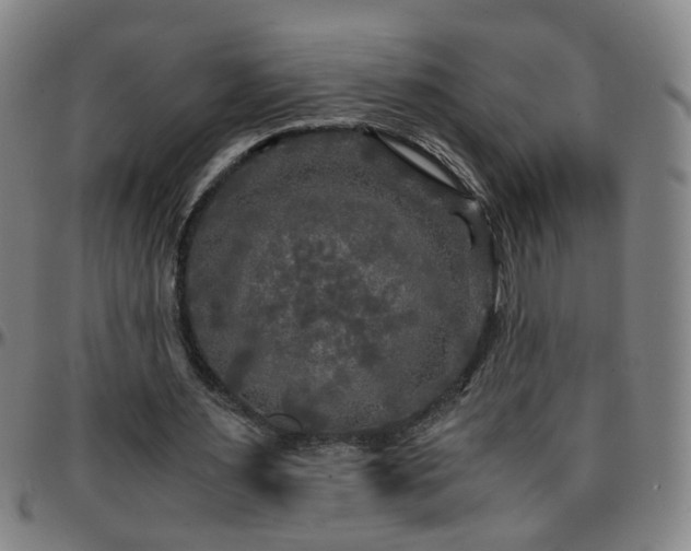 X0000096380483200801311302