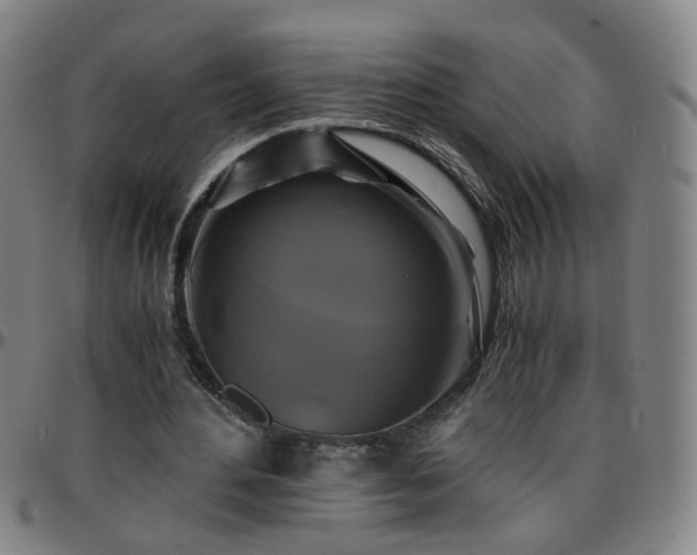 X0000096380484200801311302
