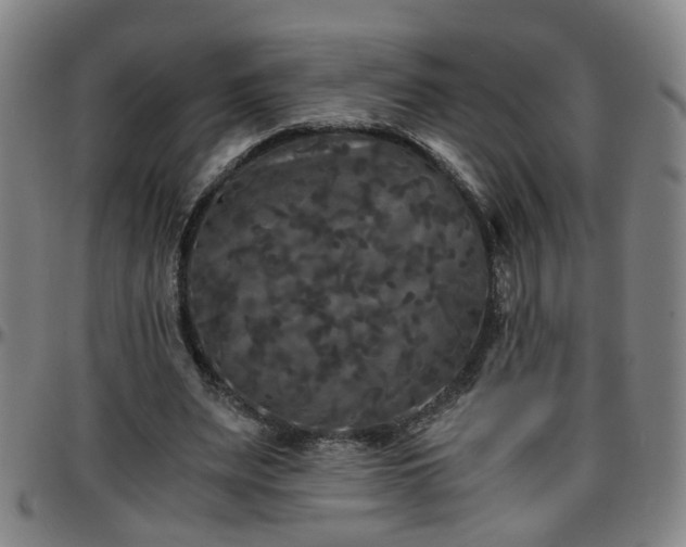X0000096380487200801311302