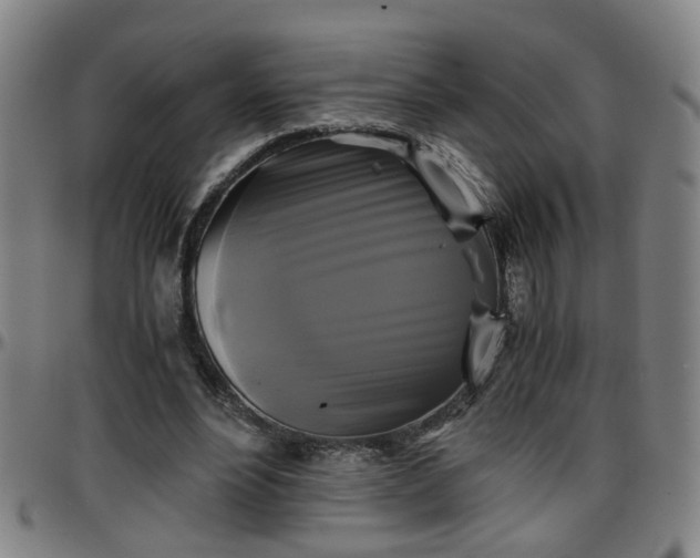 X0000096380488200801311302