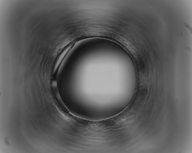 X0000096380489200801311302