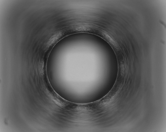 X0000096380490200801311302