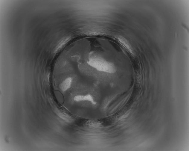 X0000096380491200801311302