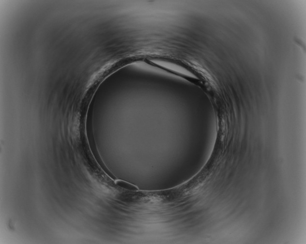 X0000096380492200801311302