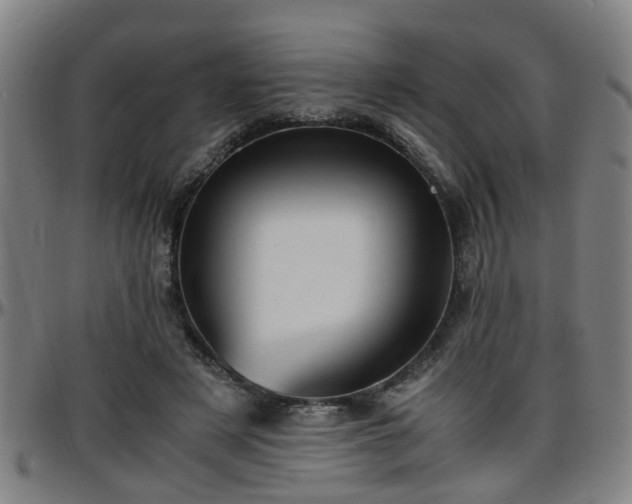 X0000096380497200801311302