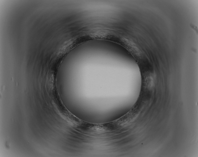 X0000096380498200801311302