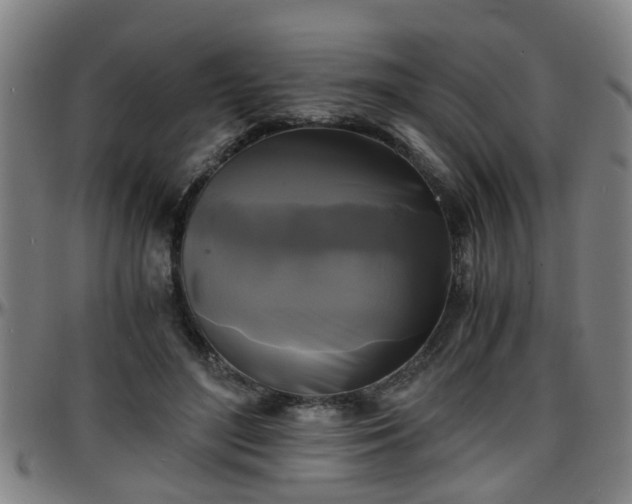 X0000096380500200801311302