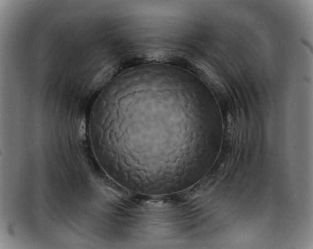 X0000096380502200801311302