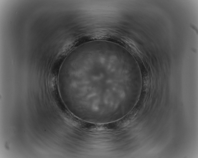 X0000096380503200801311302