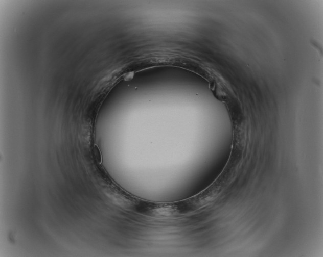 X0000096380505200801311302