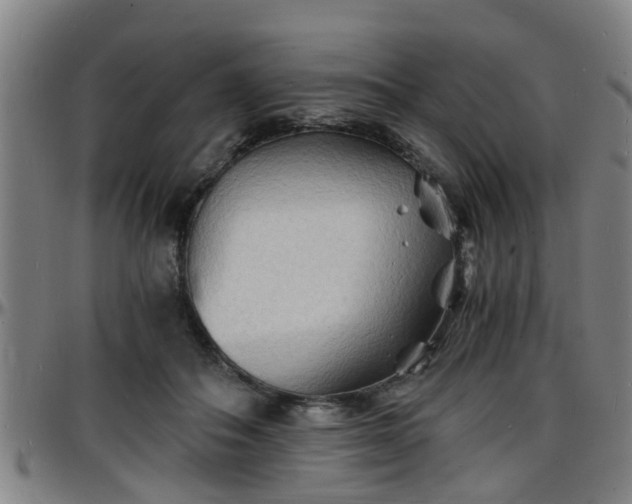 X0000096380506200801311302