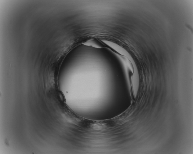 X0000096380508200801311302