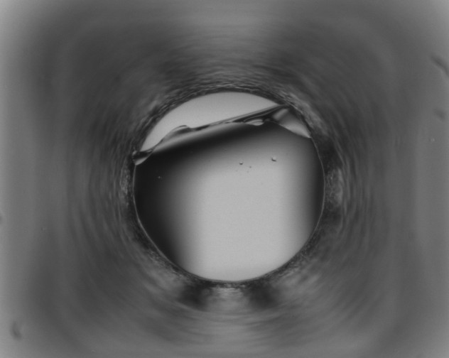 X0000096380509200801311302