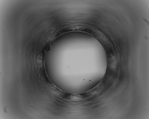 X0000096380510200801311302