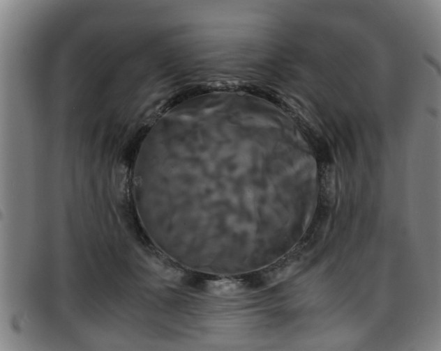 X0000096380511200801311302