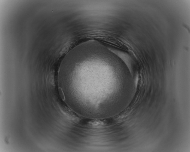X0000096380512200801311302