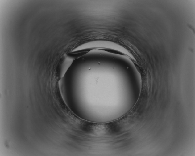 X0000096380513200801311302