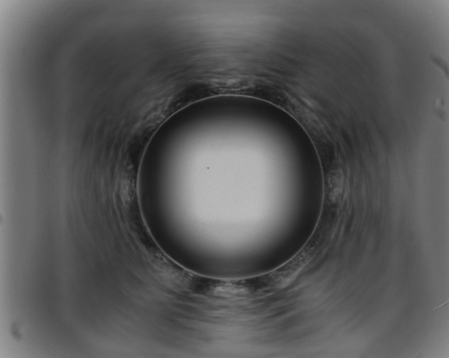 X0000096380515200801311302