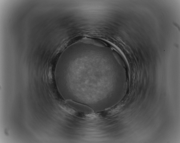 X0000096380516200801311302
