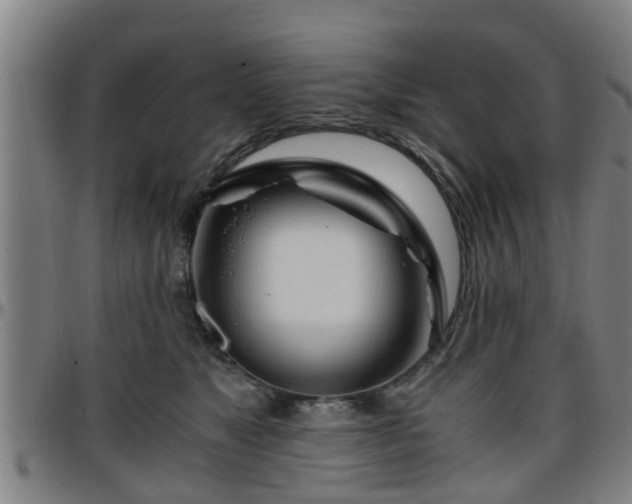 X0000096380517200801311302