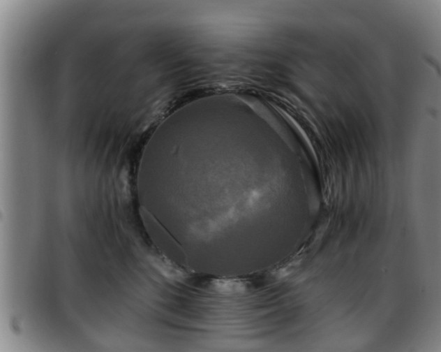 X0000096380520200801311302
