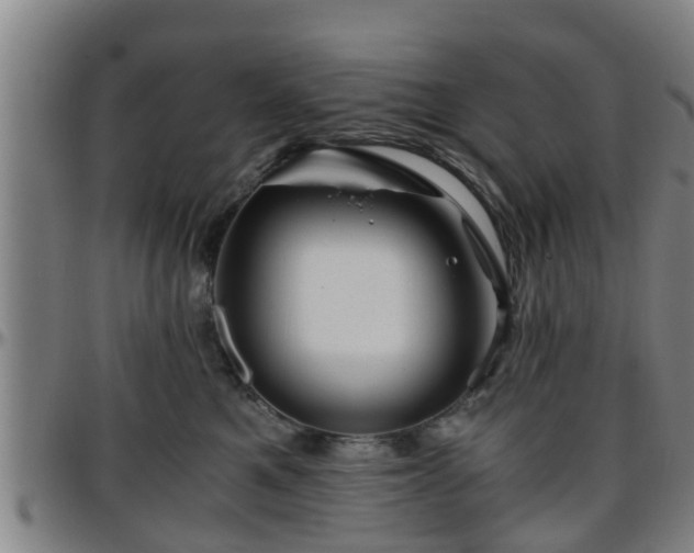 X0000096380521200801311302