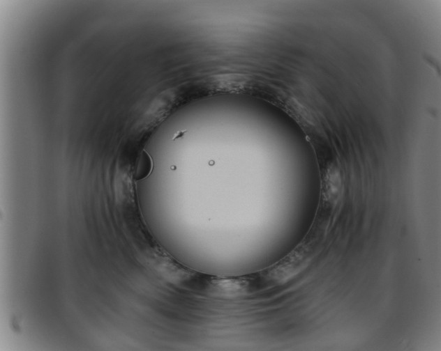 X0000096380522200801311302