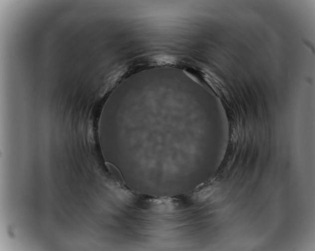 X0000096380524200801311302