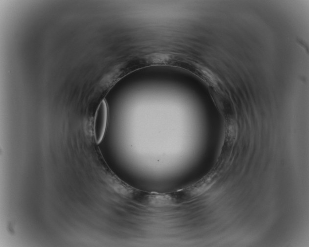 X0000096380525200801311302
