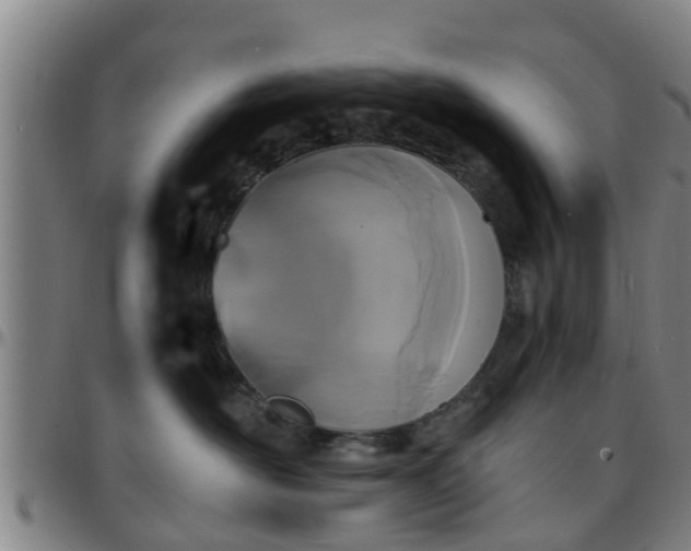 X0000096380526200801311302