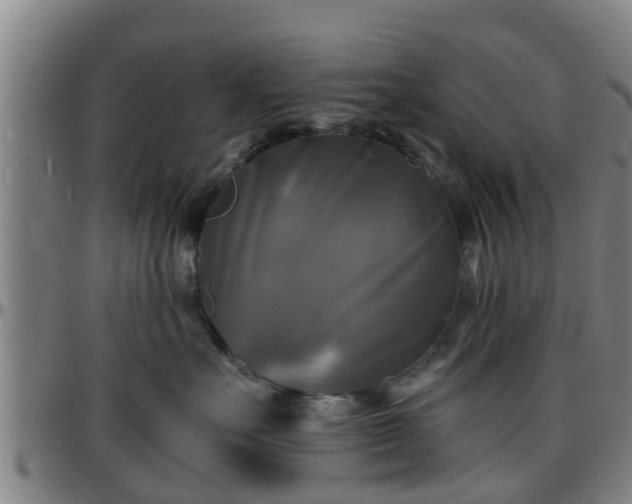 X0000096380527200801311302