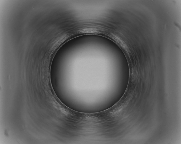 X0000096380529200801311301