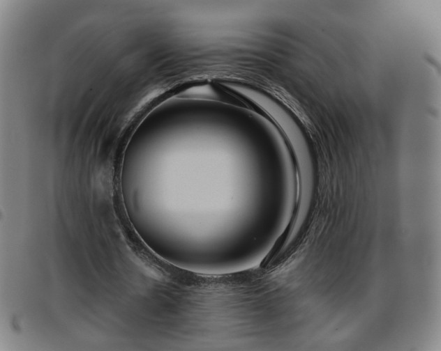 X0000096380530200801311301