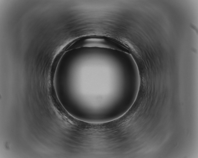 X0000096380532200801311301