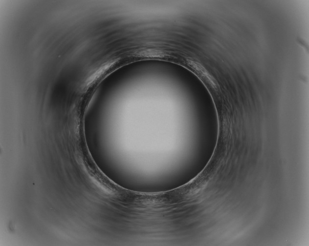 X0000096380533200801311301
