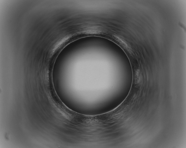 X0000096380535200801311301