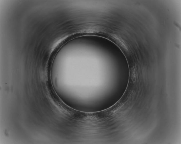 X0000096380536200801311301