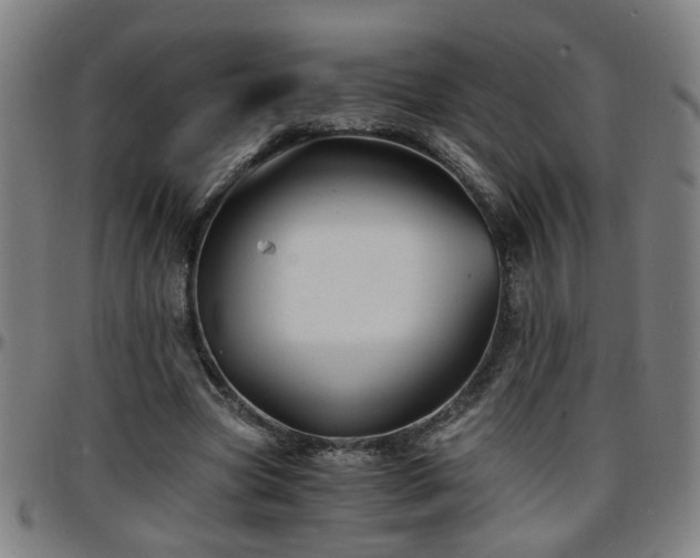 X0000096380537200801311301