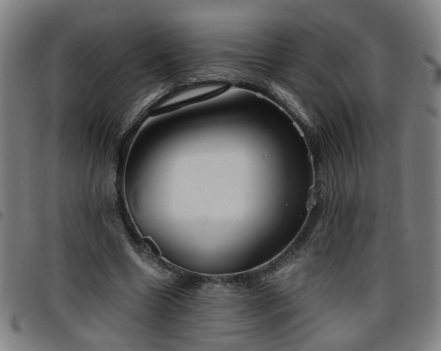 X0000096380538200801311301