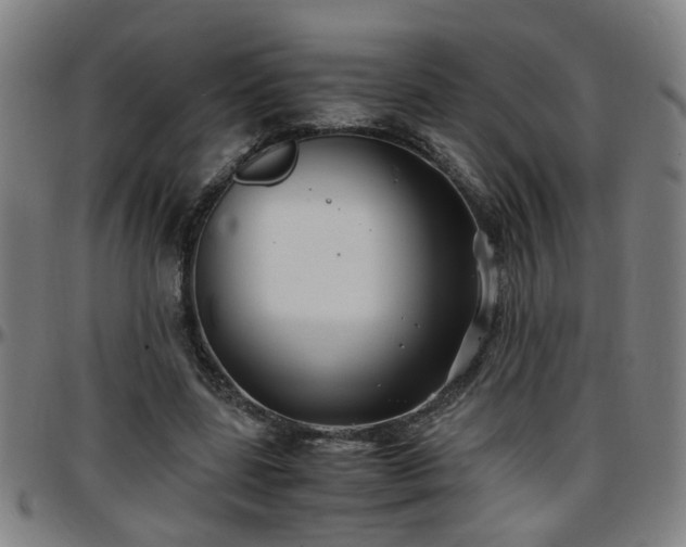 X0000096380539200801311301