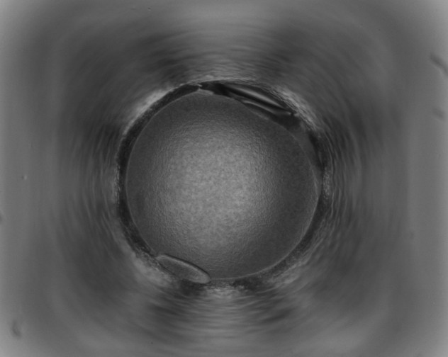 X0000096380540200801311301