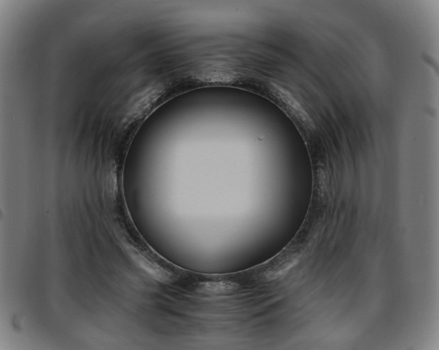 X0000096380541200801311301