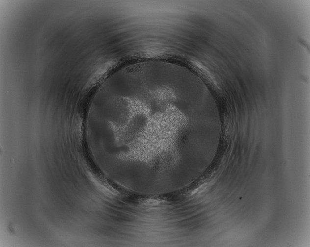 X0000096380542200801311301