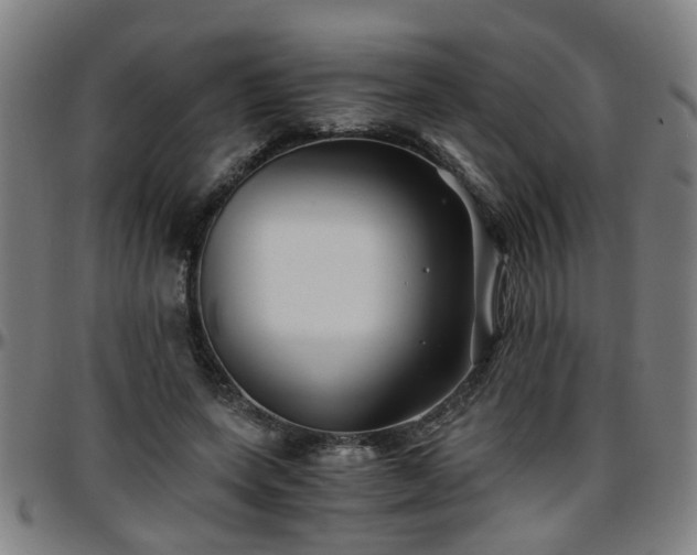 X0000096380543200801311301