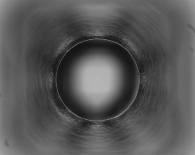 X0000096380544200801311301